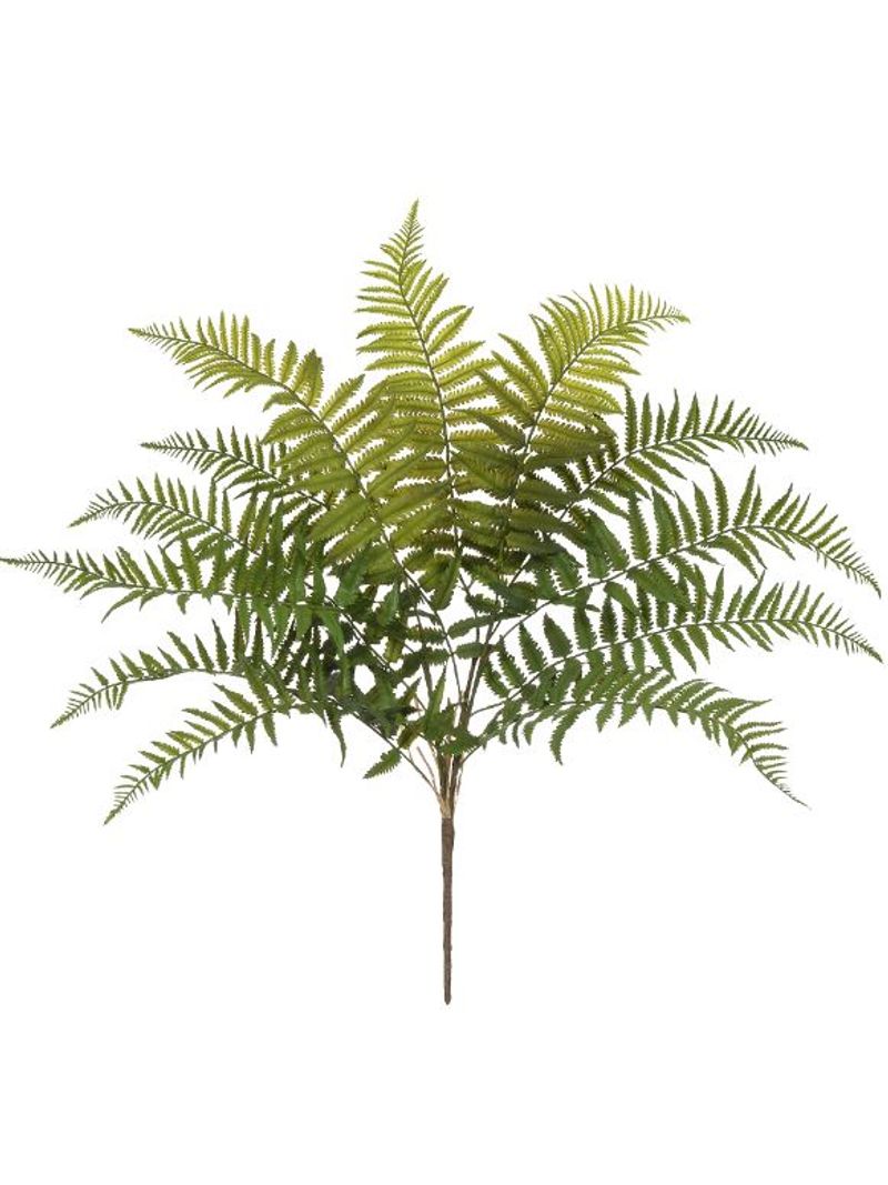 2343975-FOLHAGEM-SAMAMBAIA-C-PRINT-PLASTICO-X12--VERDE--74cm-Amoedo