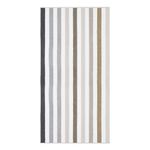 2345286-TOALHA-PRAIA-SAN-MARTIN--80x160cm-MARROM-BUDDEMEYER---2-