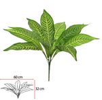 2343551-DRACENA-FRAGRANS-FORRACAO-X11--VERDE-CREME--50CM-Amoedo