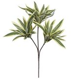 2343527-DRACENA-REFLEXA-REAL-TOQUE-X63--VERDE-AMARELO--38cm--Amoedo