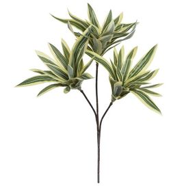 Dracena Reflexa X63 38cm Verde e Amarelo Flor Arte