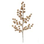 58362001-HASTE-BERRY--MARROM--45cm-AMOEDO
