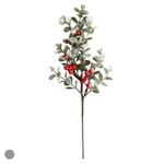 56730001-HASTE-BERRY--VERDE--49cm-AMOEDO