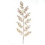58348001-HASTE-BERRY-CORTICA--MARROM--75cm-AMOEDO