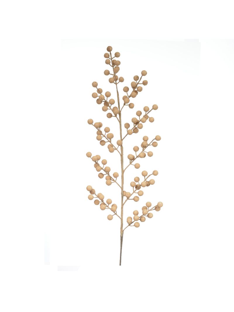 58348001-HASTE-BERRY-CORTICA--MARROM--75cm-AMOEDO
