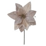 57273001-HASTE-BICO-DE-PAPAGAIO--CHAMPANHE--29cm-AMOEDO