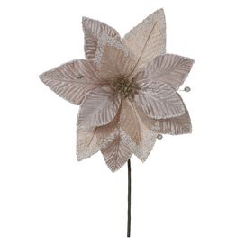 Haste Bico de Papagaio 29cm Champagne Florarte