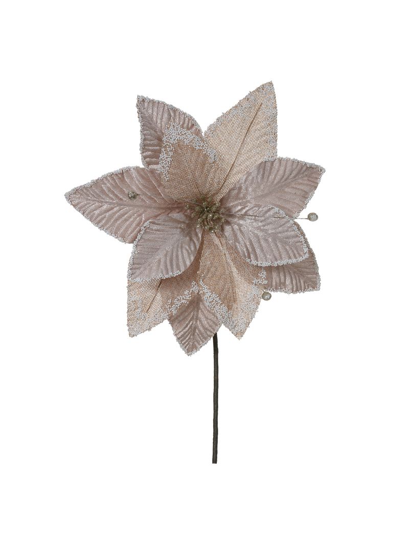 57273001-HASTE-BICO-DE-PAPAGAIO--CHAMPANHE--29cm-AMOEDO