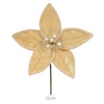 57481001-HASTE-BICO-PAPAGAIO--BEGE--22cm-AMOEDO