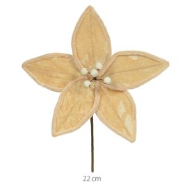 Haste Bico Papagaio 22cm Bege Florarte