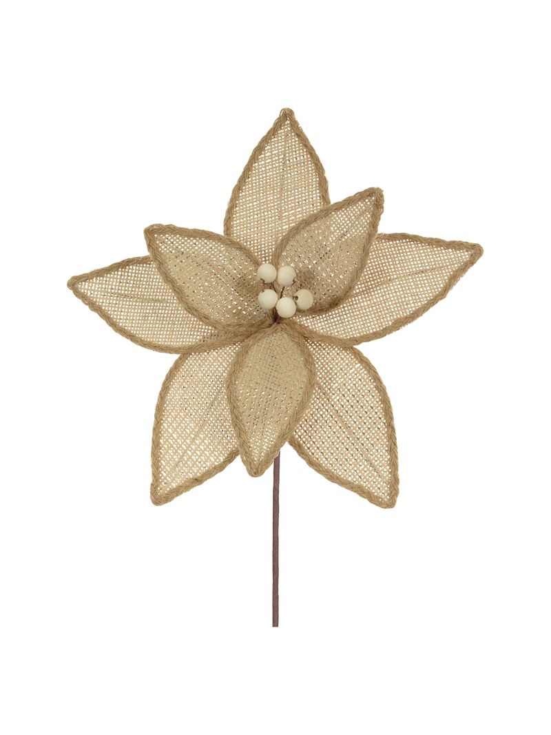 56180001-HASTE-BICO-PAPAGAIO--BEGE--26cm-AMOEDO