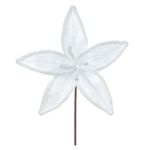56203004-HASTE-BICO-PAPAGAIO--BRANCO--25cm-AMOEDO