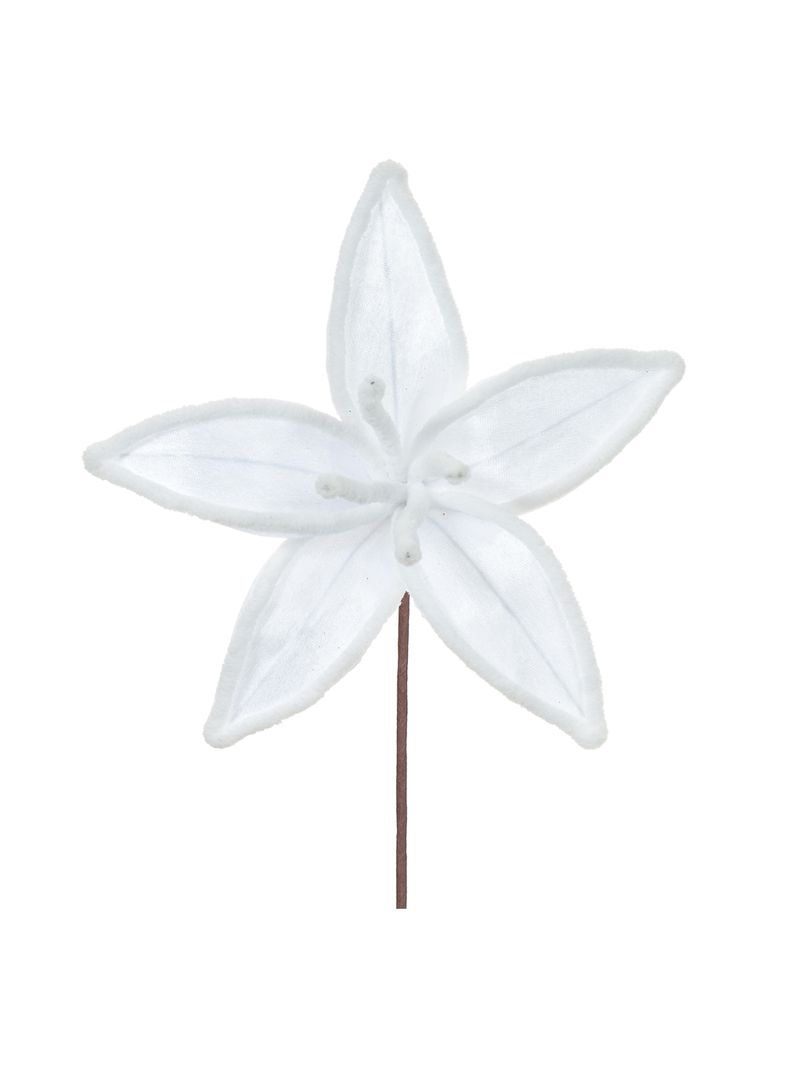 56203004-HASTE-BICO-PAPAGAIO--BRANCO--25cm-AMOEDO