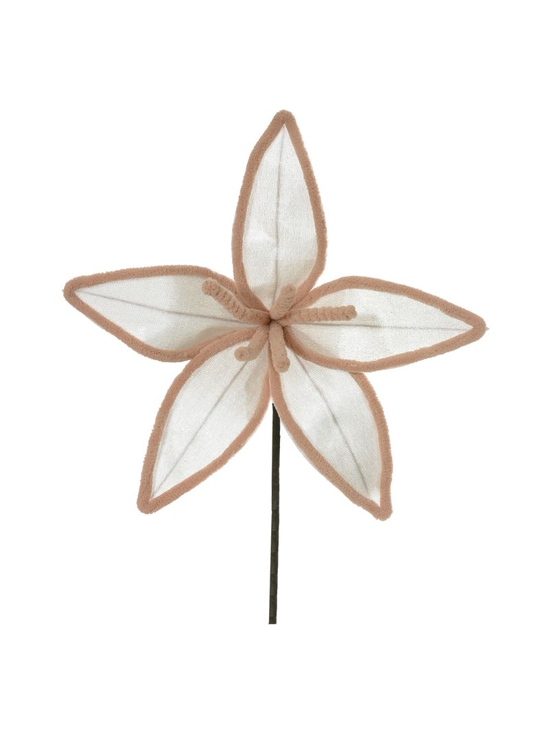56203006-HASTE-BICO-PAPAGAIO--OFF-WHITE-BEGE--25cm-AMOEDO