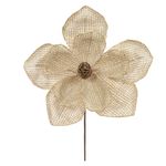 57390001-HASTE-MAGNOLIA--BEGE--28cm-AMOEDO