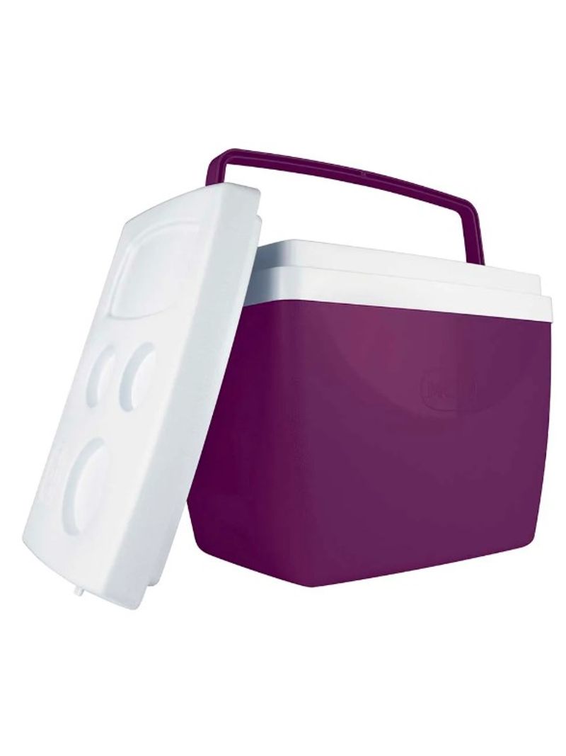 2051730-CAIXA-TERMICA-34L-ACAI-Amoedo1