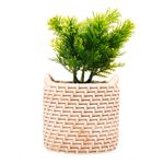 2359227-CACHEPOT-DE-CERAMICA-COM-SUCULENTA-PALHA-10X10X19CM-AMOEDO--2-