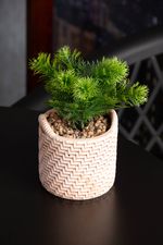2359227-CACHEPOT-DE-CERAMICA-COM-SUCULENTA-PALHA-10X10X19CM-AMOEDO--3-
