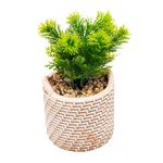 2359227-CACHEPOT-DE-CERAMICA-COM-SUCULENTA-PALHA-10X10X19CM-AMOEDO--4-