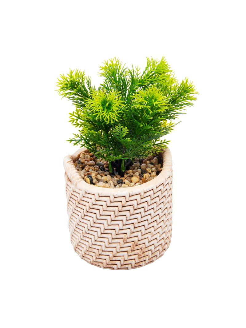 2359227-CACHEPOT-DE-CERAMICA-COM-SUCULENTA-PALHA-10X10X19CM-AMOEDO--4-