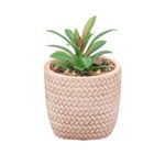 2359243-CACHEPOT-DE-CERAMICA-COM-SUCULENTA-TRANCADO-10X10X15CM-AMOEDO--1-