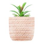 2359243-CACHEPOT-DE-CERAMICA-COM-SUCULENTA-TRANCADO-10X10X15CM-AMOEDO--2-