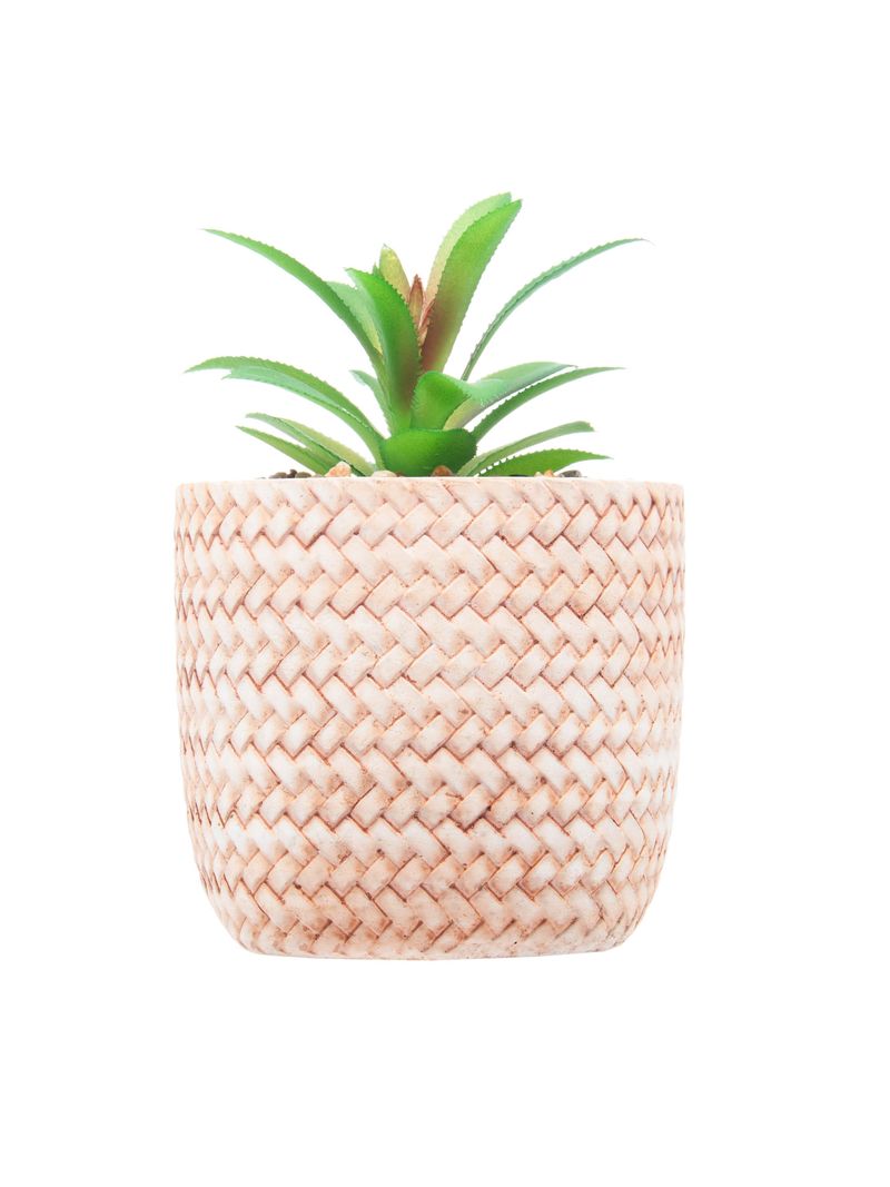 2359243-CACHEPOT-DE-CERAMICA-COM-SUCULENTA-TRANCADO-10X10X15CM-AMOEDO--2-