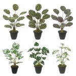 2362220---ARRANJO-FOLHAGEM-SORTIDA-VERDE-58CM---AMOEDO.jpg