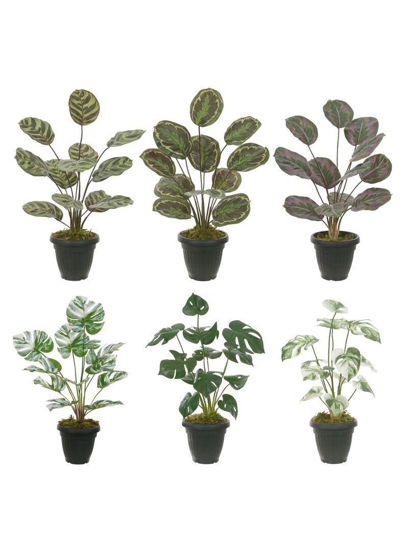 2362220---ARRANJO-FOLHAGEM-SORTIDA-VERDE-58CM---AMOEDO.jpg