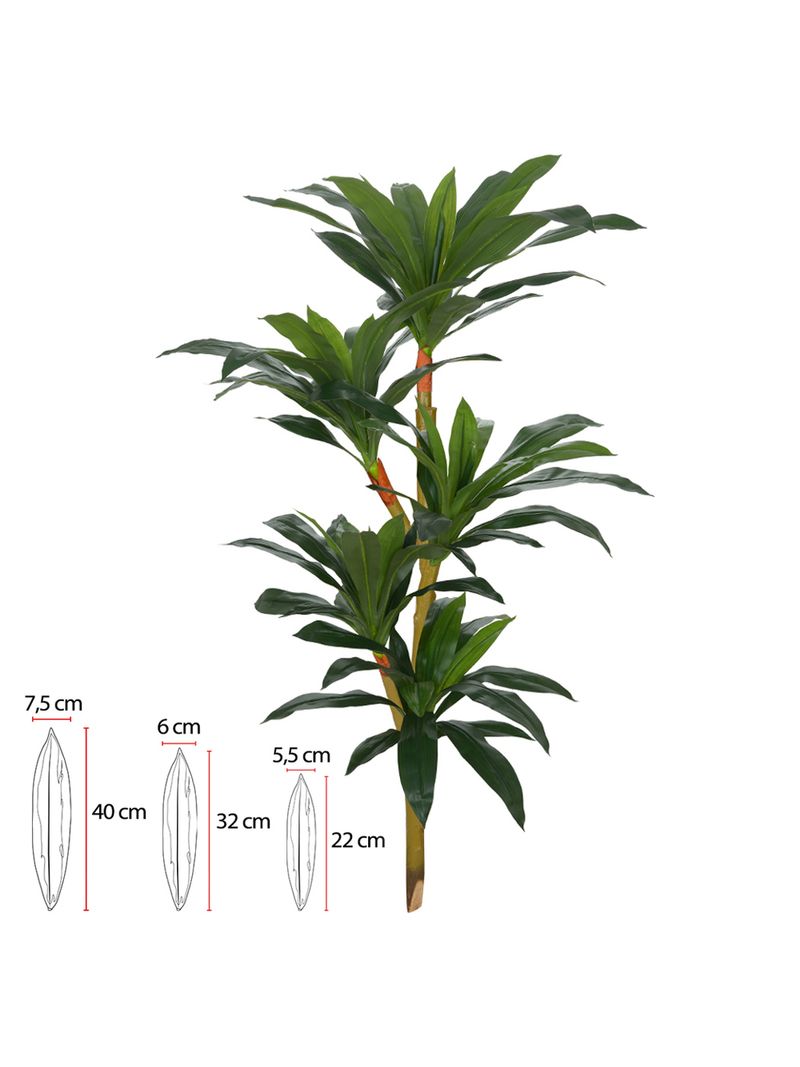 2362301---ARVORE-DRACENA-REAL-TOQUE-VERDE-1.25M-AMOEDO.jpg