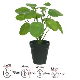 Árvore Pilea Real Toque com Pote 30cm Verde Flor Arte