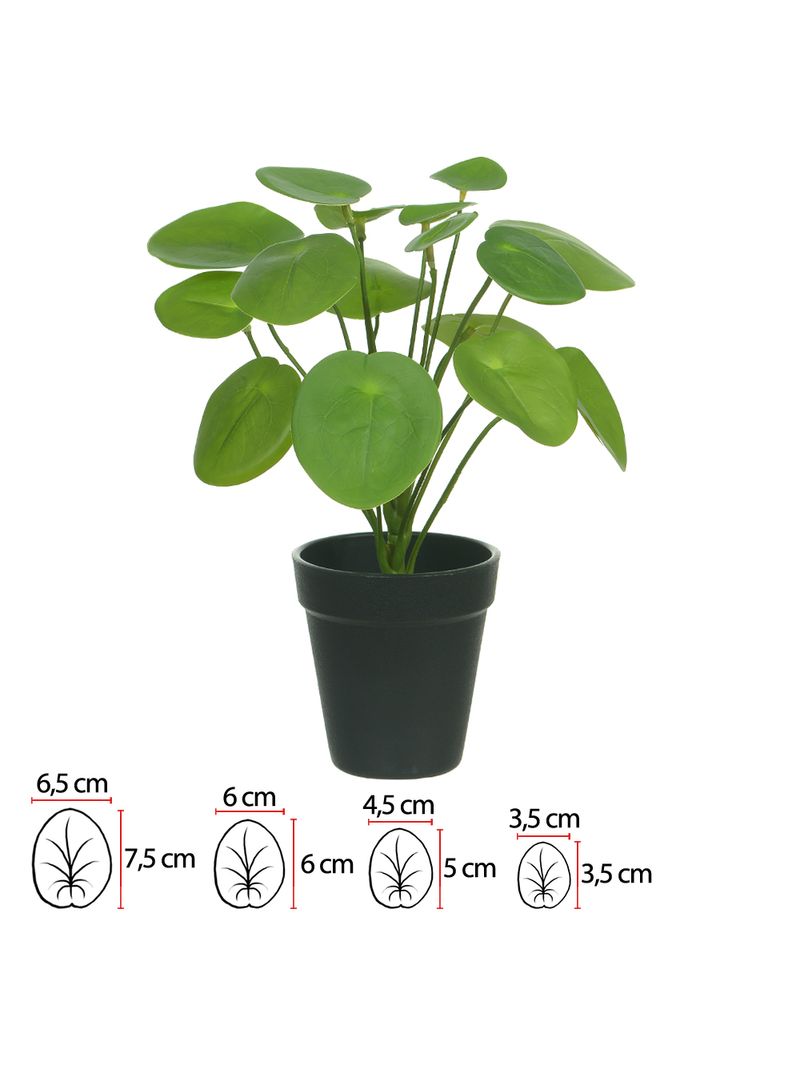 2362327-ARVORE-PILEA-REAL-TOQUE-COM-POTE-VERDE-30CM--AMOEDO.jpg