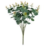 1877167-EUCALIPTO-VERDE-OUTONO-50CM--AMOEDO.jpg