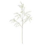 2362700-GALHO-BUXUS-ARAMADO-COM-PRINT-PLT-OFF-WHITE-1.05M-AMOEDO.jpg