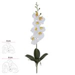 2362767---HASTE-ORQUIDEA-PHALAENOPSIS-REAL-TOQUE-COM-FOLHA-BRANCO-45CM---AMOEDO.jpg