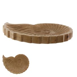 Centro de Mesa Concha 2,5x25x19cm Madeira Flor Arte