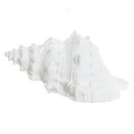 2363006 -ESCULTURA DECOR POLIRESINA CONCHA BRANCO -AMOEDO.jpg