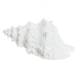 Escultura de Poliresina Concha 18x11cm Branco Flor Arte