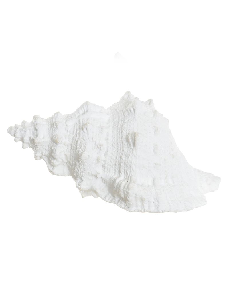 2363006 -ESCULTURA DECOR POLIRESINA CONCHA BRANCO -AMOEDO.jpg