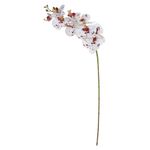 2362791-HASTE-ORQUIDEA-REAL-TOQUE-BRANCO-BEAUTY-95CM-BRANCO-AMOEDO.jpg