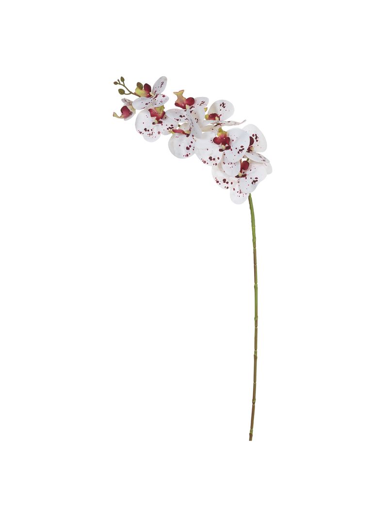2362791-HASTE-ORQUIDEA-REAL-TOQUE-BRANCO-BEAUTY-95CM-BRANCO-AMOEDO.jpg