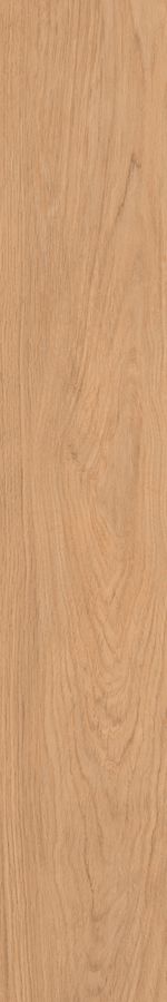 2369646--1-PORCELANATO-20X120-CARVALHO-NATURAL-ABS-AMOEOD.jpg