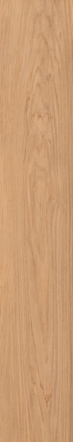 2369646--2-PORCELANATO-20X120-CARVALHO-NATURAL-ABS-AMOEOD.jpg