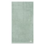 2367482-TOALHA-GIGANTE-DUAL-AIR-90X150-VERDE-AMOEDO.jpg