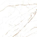 2371376 -2 PORCELANATO 71X71 CALACATTA ORO-AMOEDO.jpg