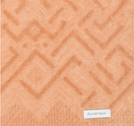 2378938---TOALHA-ROSTO-GEO-48-80CM-laranja-amoedo--.PNG