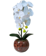 2384353---Arranjo-de-orquidea-G-permanentes-amoedo