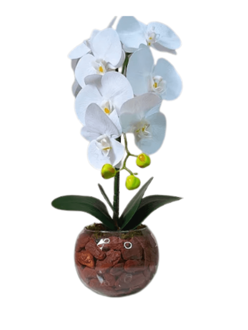 2384353---Arranjo-de-orquidea-G-permanentes-amoedo