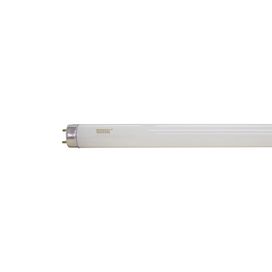 Lâmpada Tubular Fluorescente T8 36W 6400K Taschibra