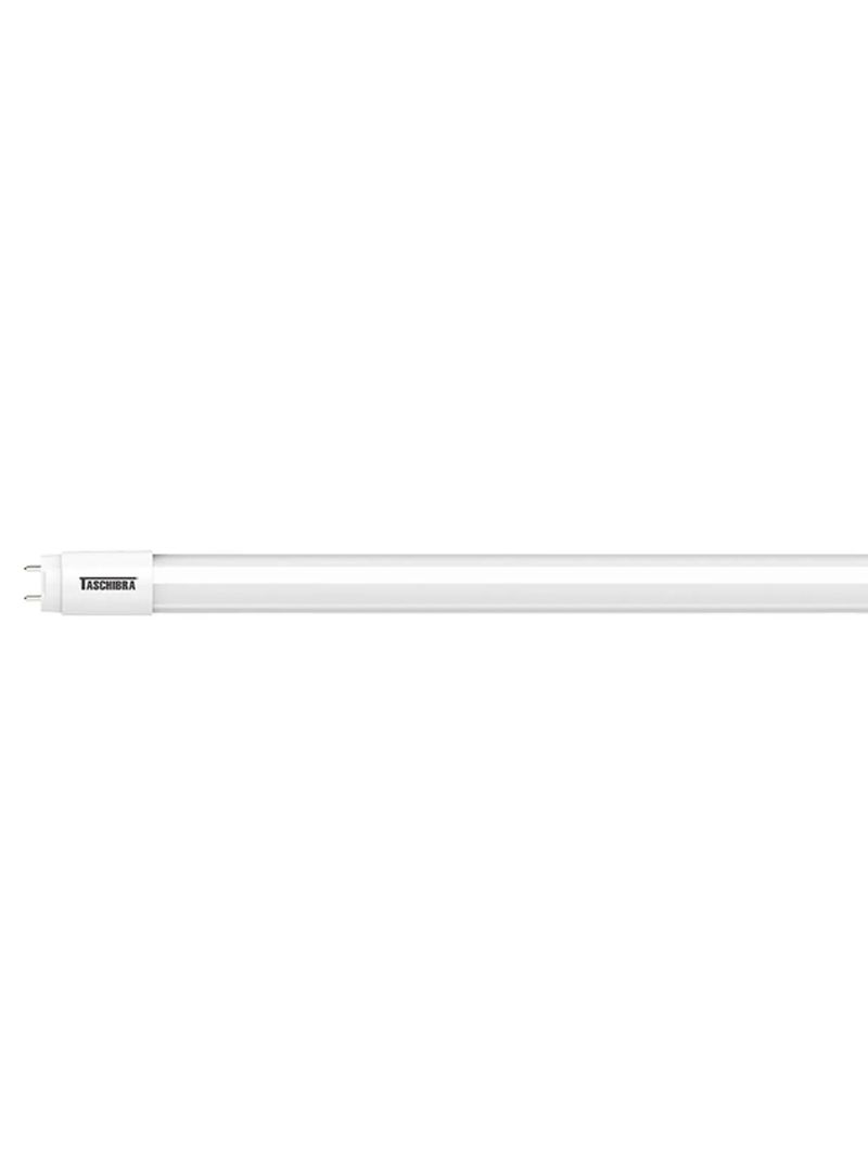 1597995 Lampada Tubular Led T8 120CM 20,5W 6500K Taschibra - Amoedo